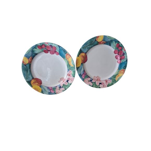 Vintage Mikasa Maxima Exotic Gardens Dinner Plates 10 1/2 Spring Picnic Set of 2 - Picture 8 of 9